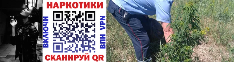 Магазины продажи наркотиков Сельцо Галлюциногенные грибы Вейп ТГК Кокаин A PVP АМФЕТАМИН ГАШ