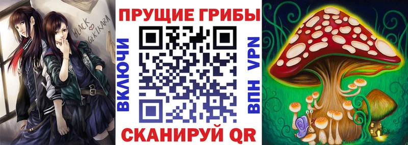 блэк спрут tor  Сельцо  Псилоцибиновые грибы Psilocybine cubensis  где продают наркотики 